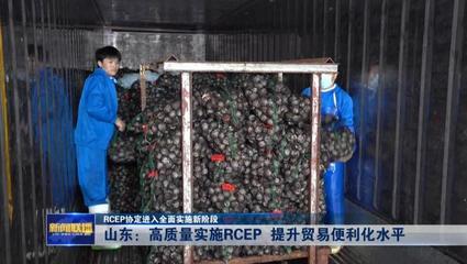 RCEP協(xié)定進(jìn)入全面實(shí)施新階段——山東高質(zhì)量實(shí)施RCEP提升貿(mào)易便利化水平，推動貨物進(jìn)出口發(fā)展